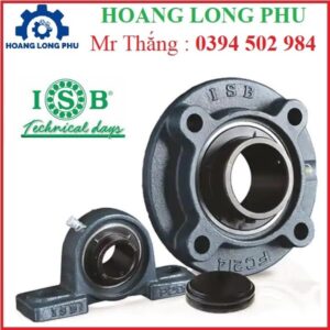 Ống Lót Ổ Trục ISB